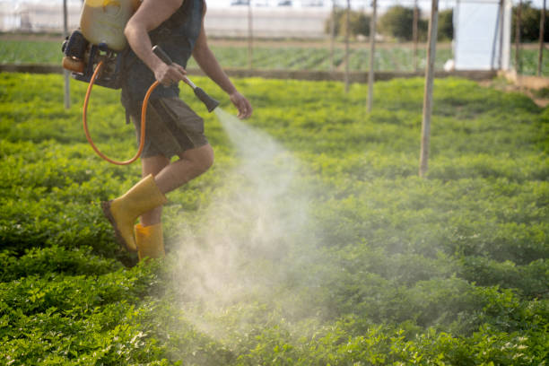 Best Emergency Pest Control  in Freedom, CA