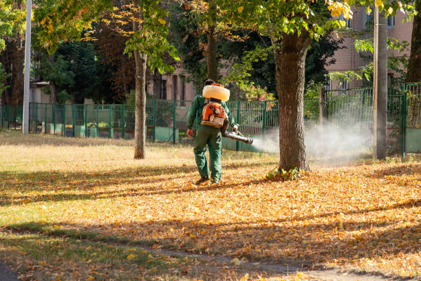 Best Local Pest Control Services  in Freedom, CA