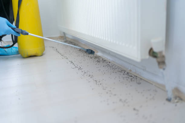 Best Bed Bug Extermination  in Freedom, CA
